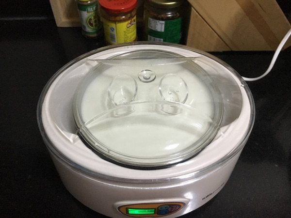 自制酸奶