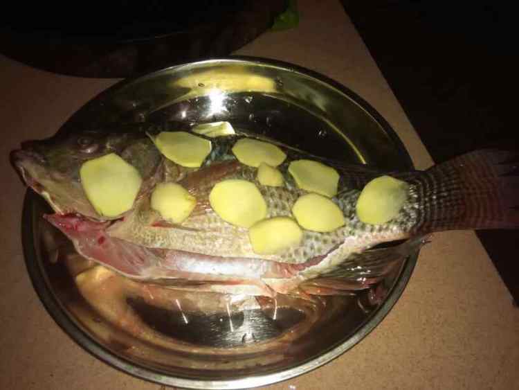 清蒸罗非