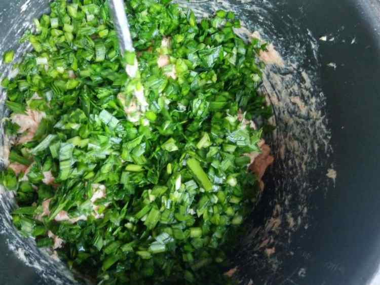 韭菜虾味饺子