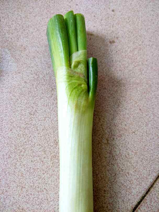 炒大葱