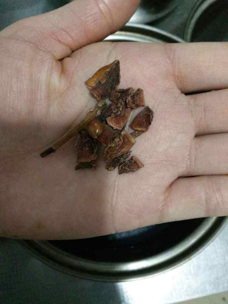 肉夹馍中的卤鸡蛋