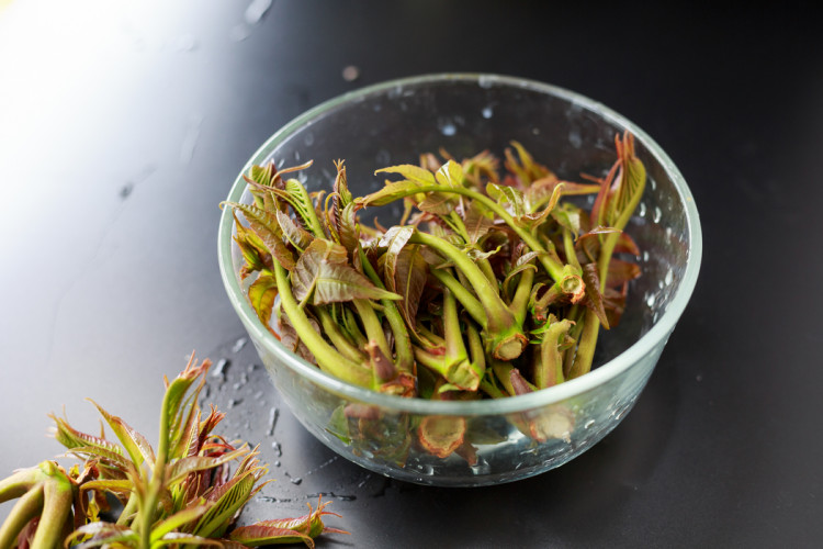 香椿芽拌豆腐