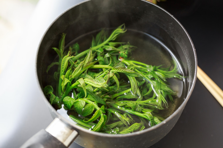 香椿芽拌豆腐