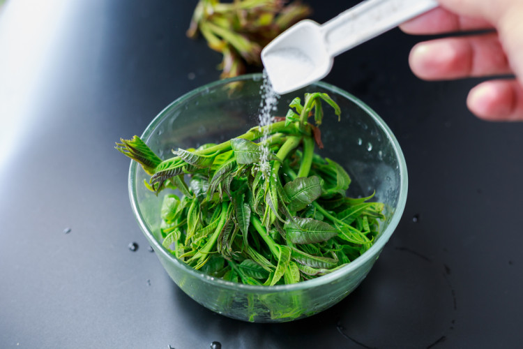 香椿芽拌豆腐