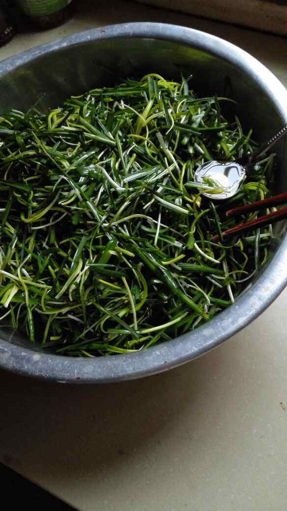 蒸野菜地早苗