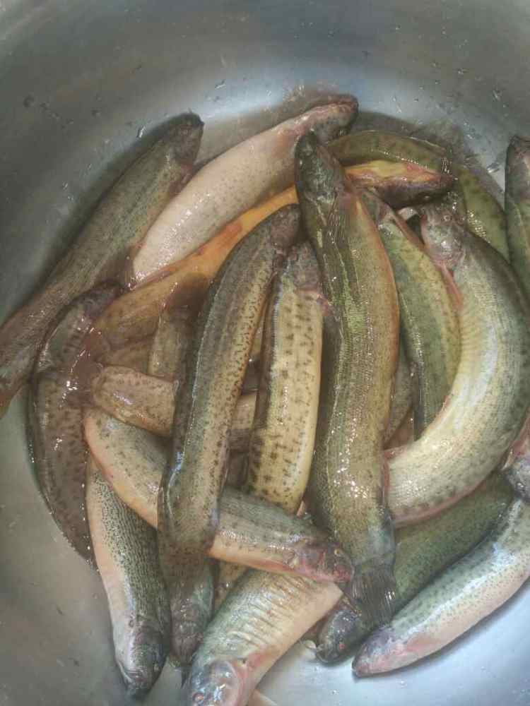 焖炒泥鳅