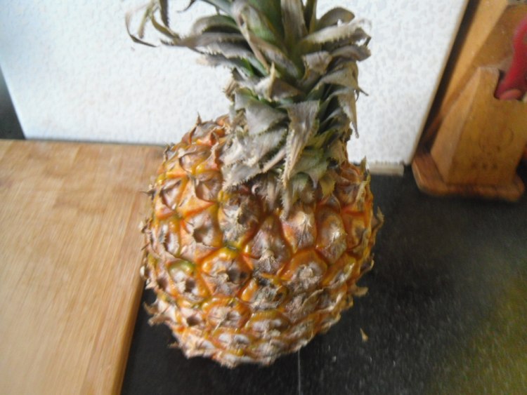 菠萝鸭