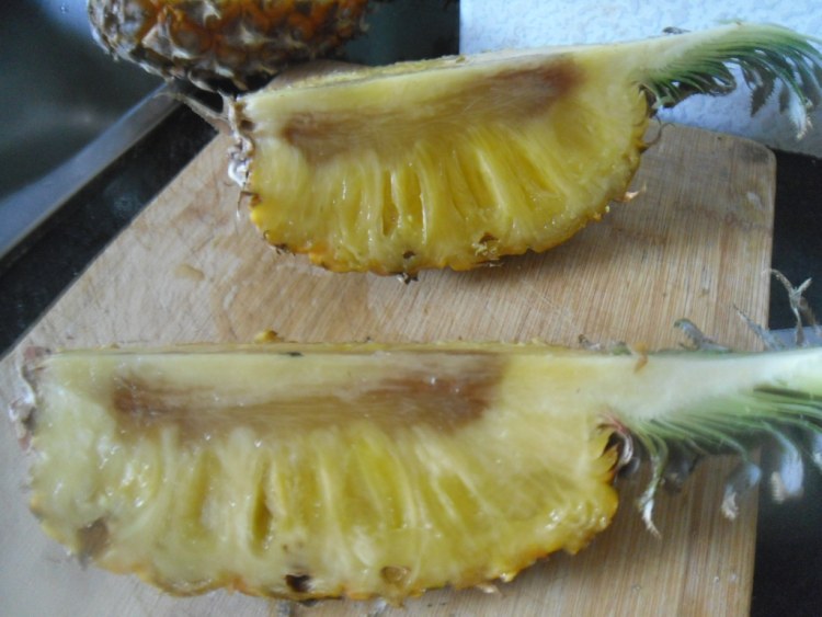 菠萝鸭