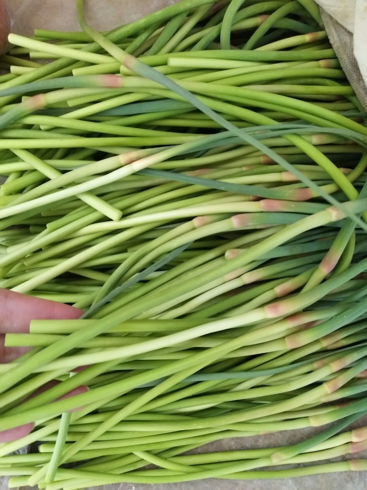 蒜苔粉丝
