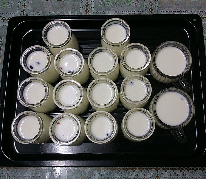 蔓越莓酸奶