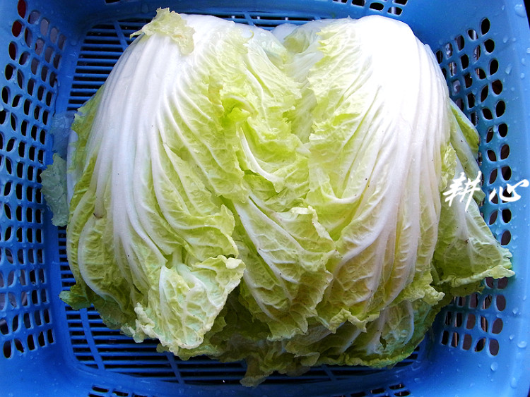 相扑火锅汤