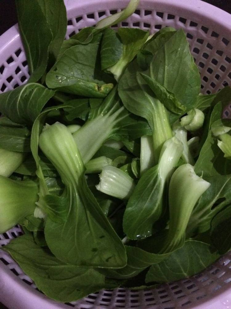 耗油油菜