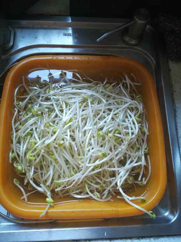 糖醋豆芽