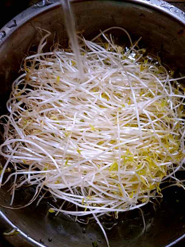 炒绿豆芽