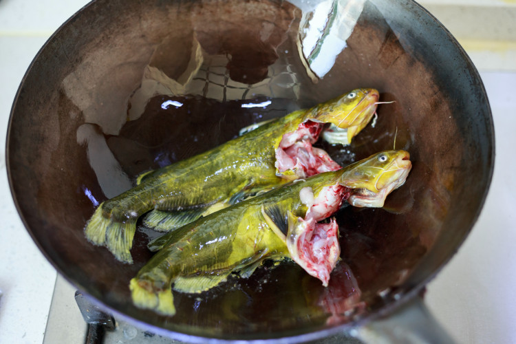 黄颡鱼炖豆腐