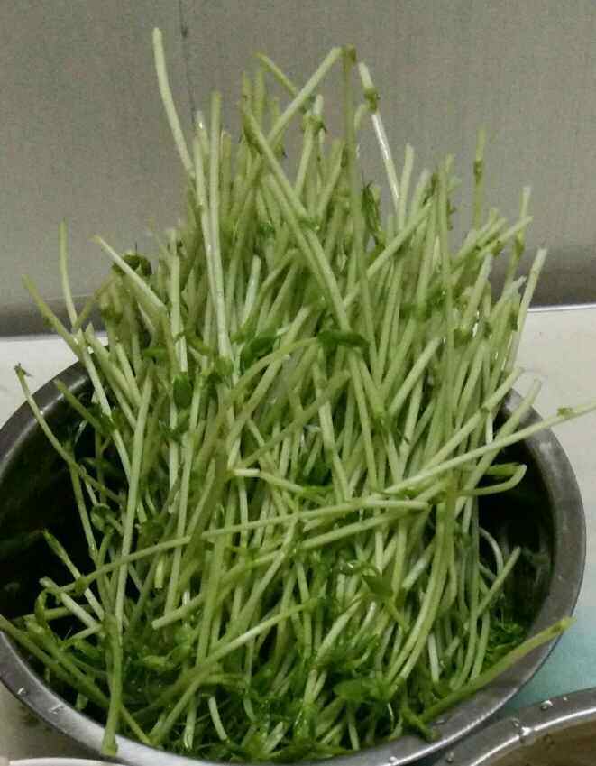 豆苗蘑菇汤