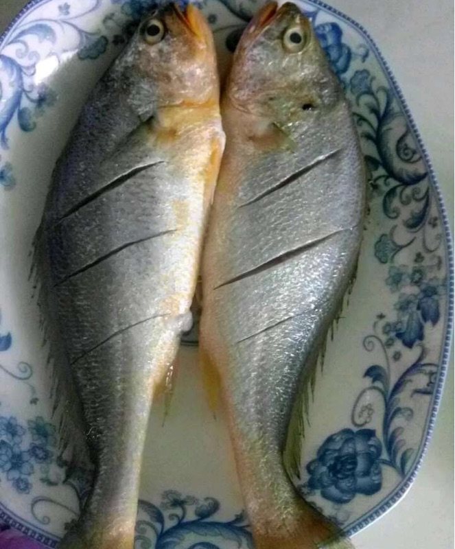 炖鱼