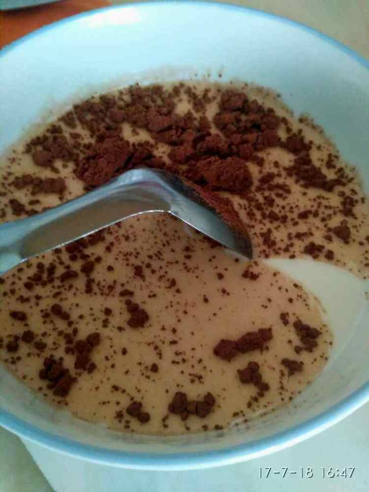 巧克力豆冰淇淋