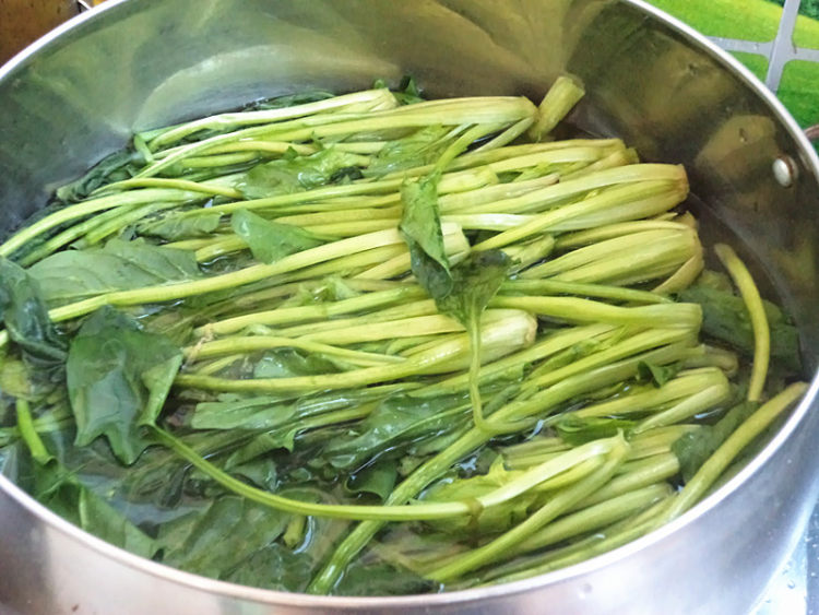 海米焖子菠菜馅水饺