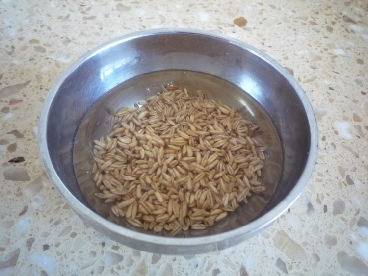 燕麦米饭