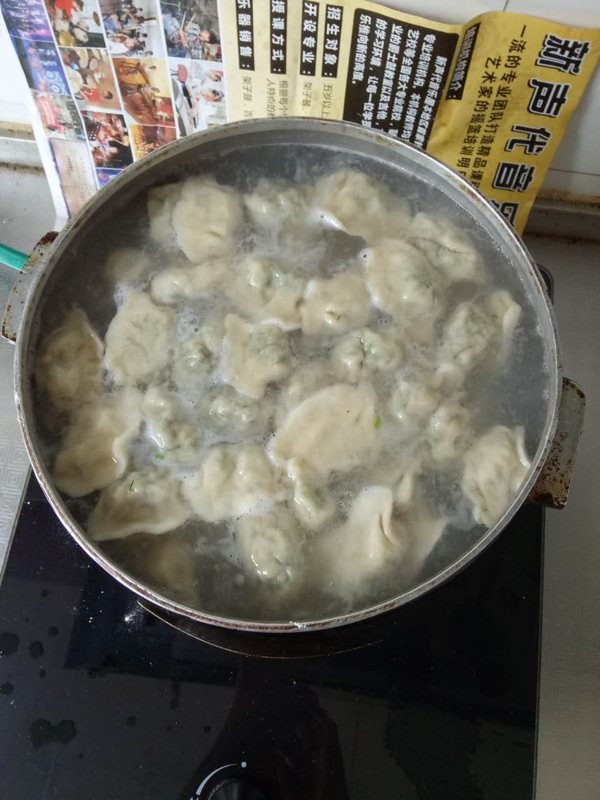 茴香猪肉饺子