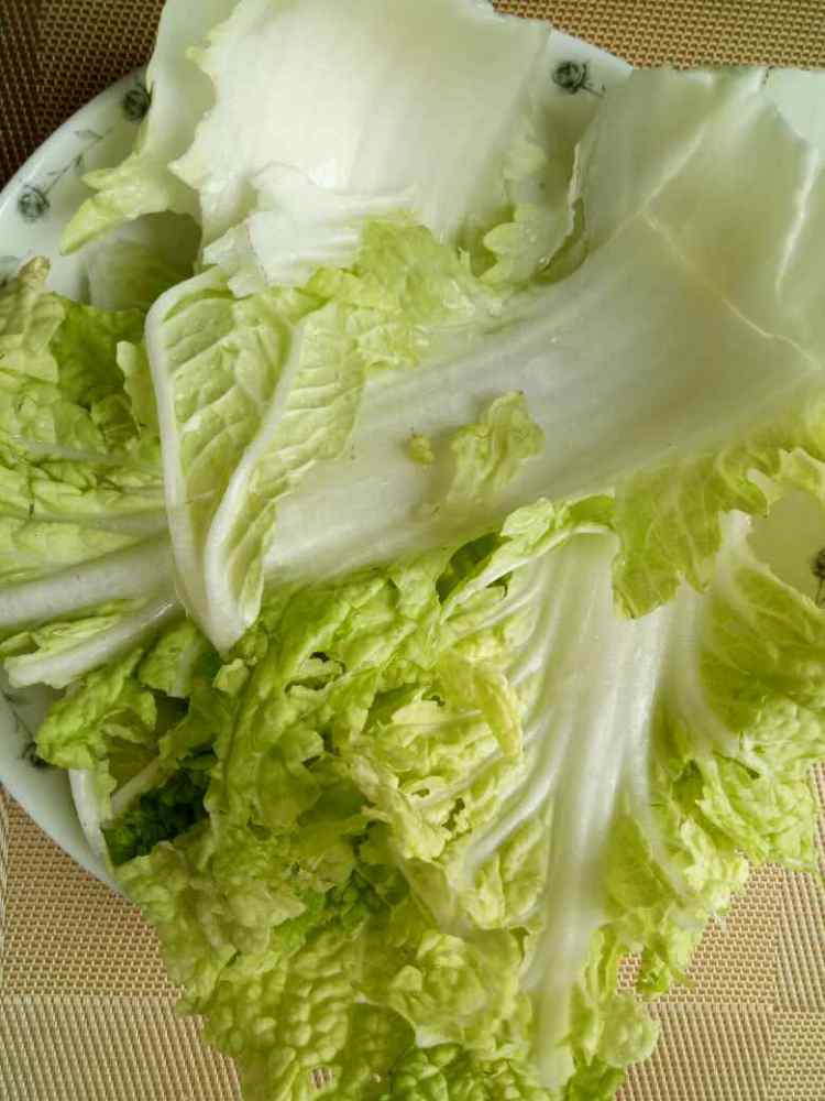 蔬菜沙拉