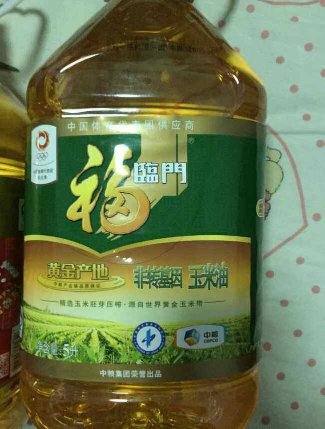 炸肉片