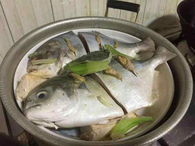 清蒸金鲳鱼豆腐