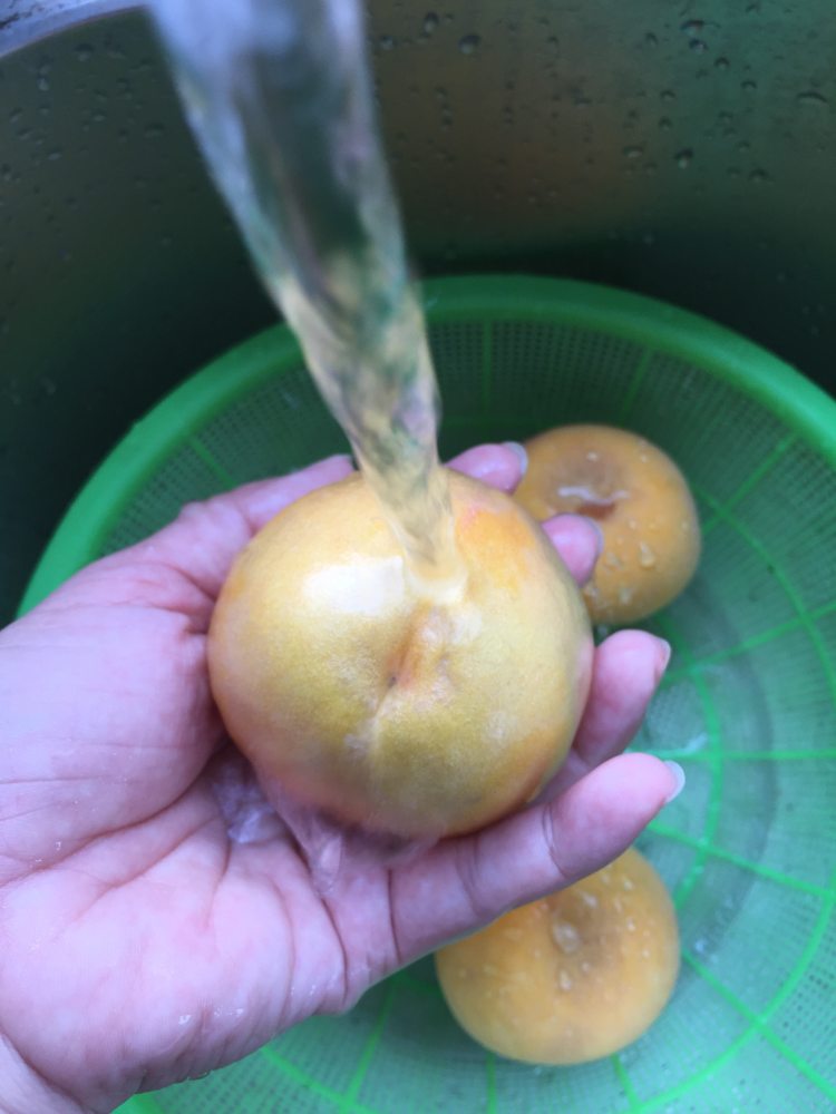 黄桃罐头