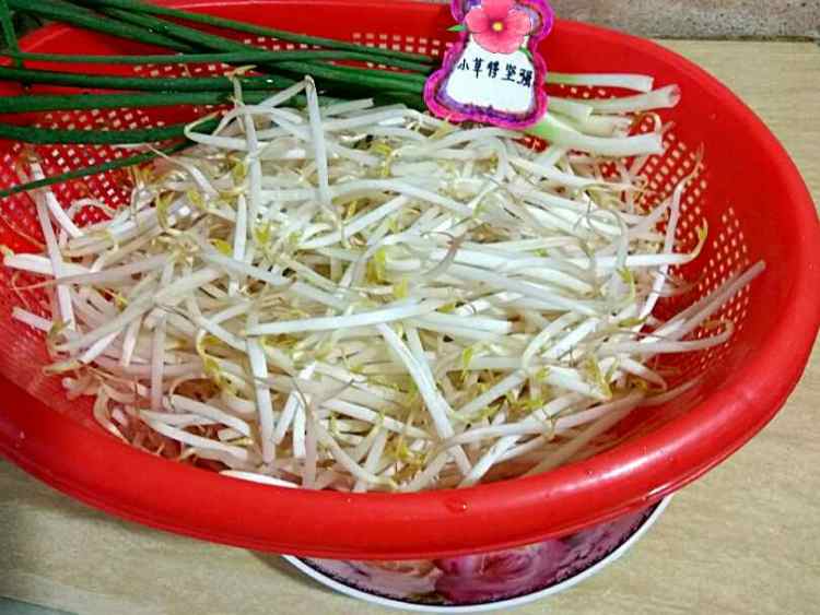 鲜虾鱿鱼炒豆芽