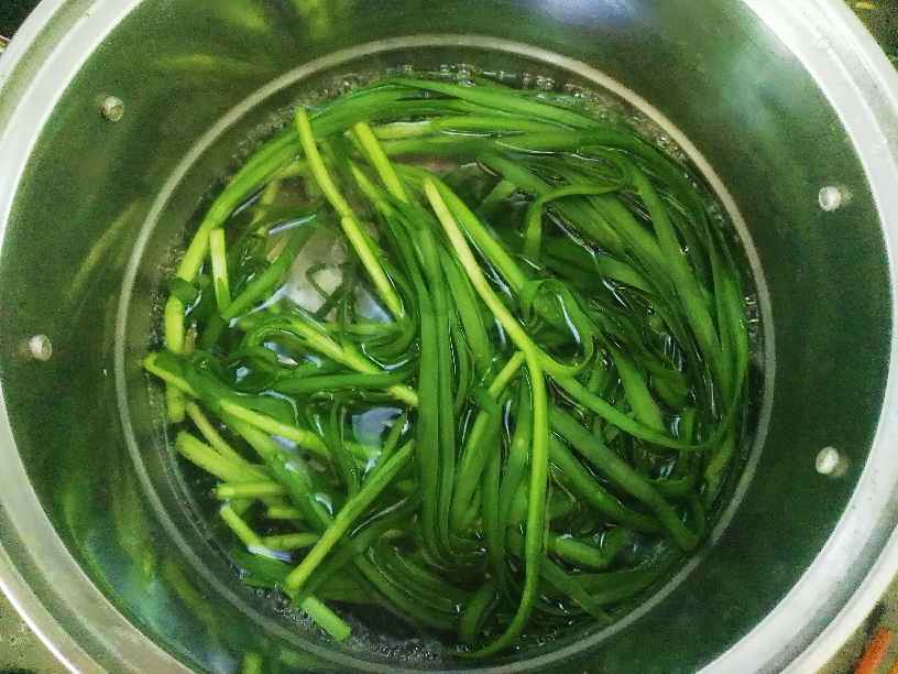 韭菜拌粉条