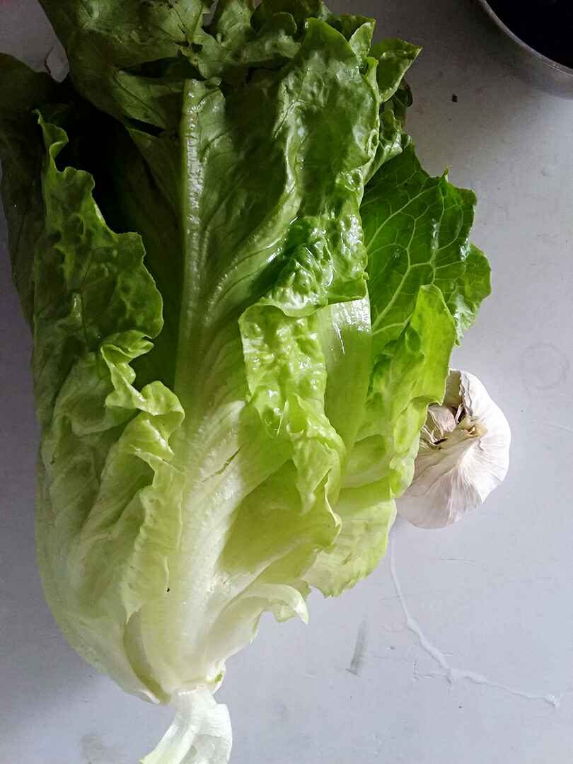 蒜蓉炒生菜