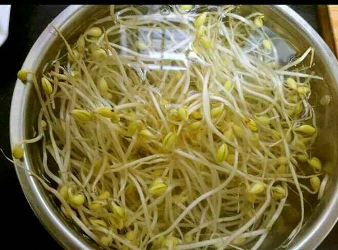 炒豆芽
