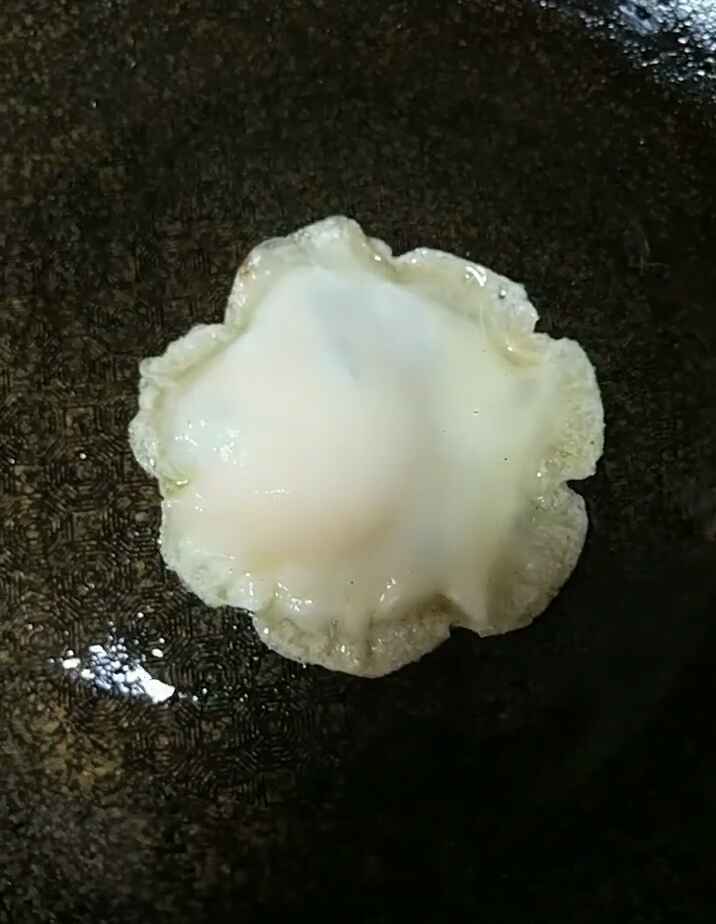 鸡蛋饺子