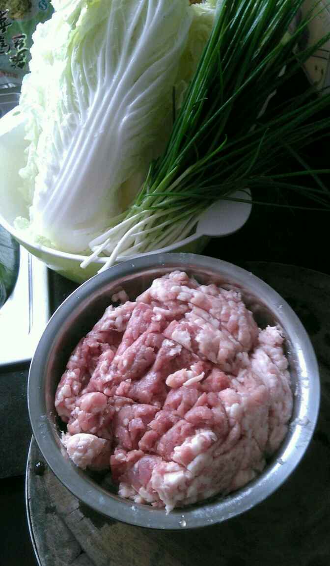 白菜肉包子