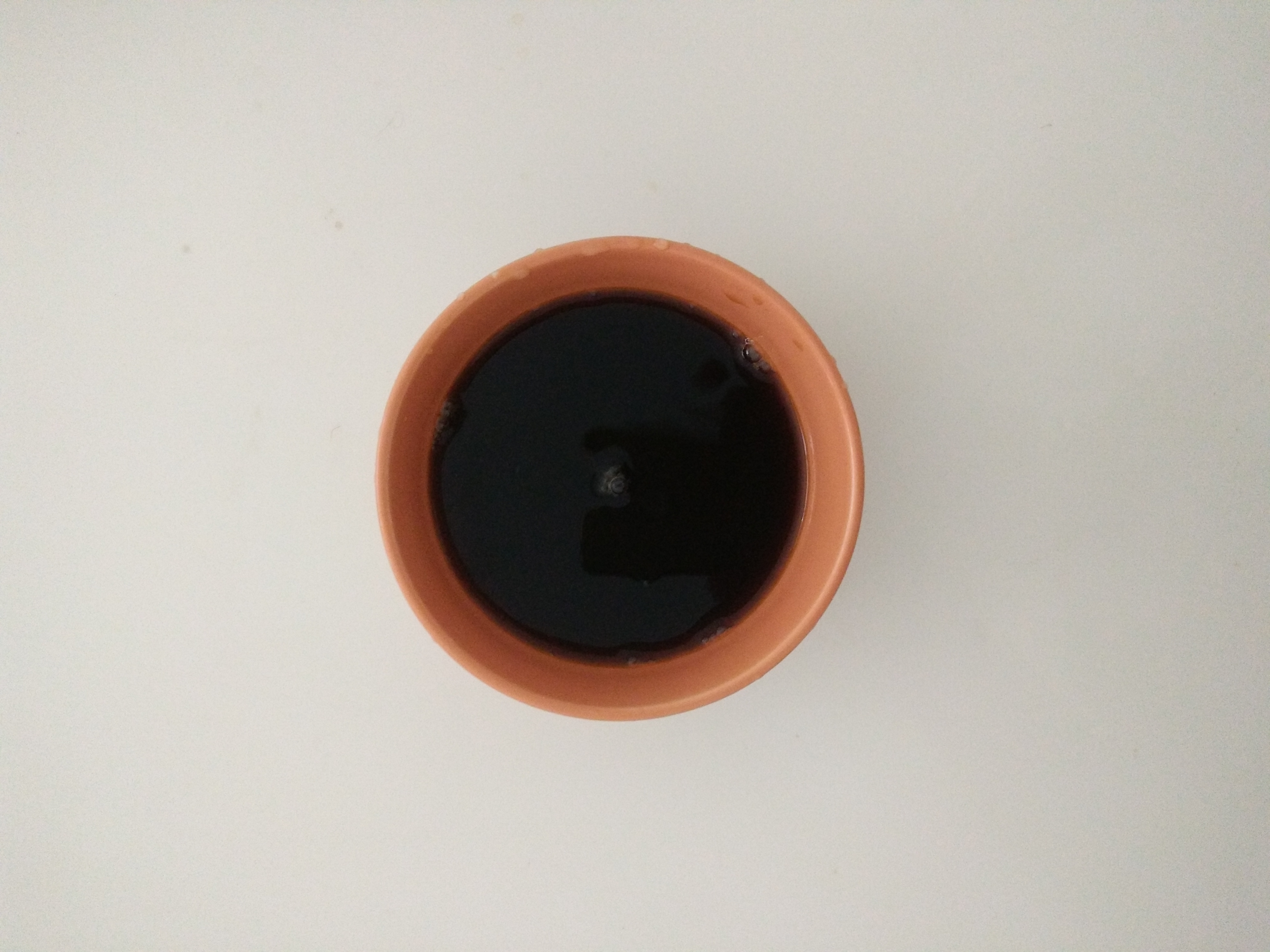 糖醋鱼