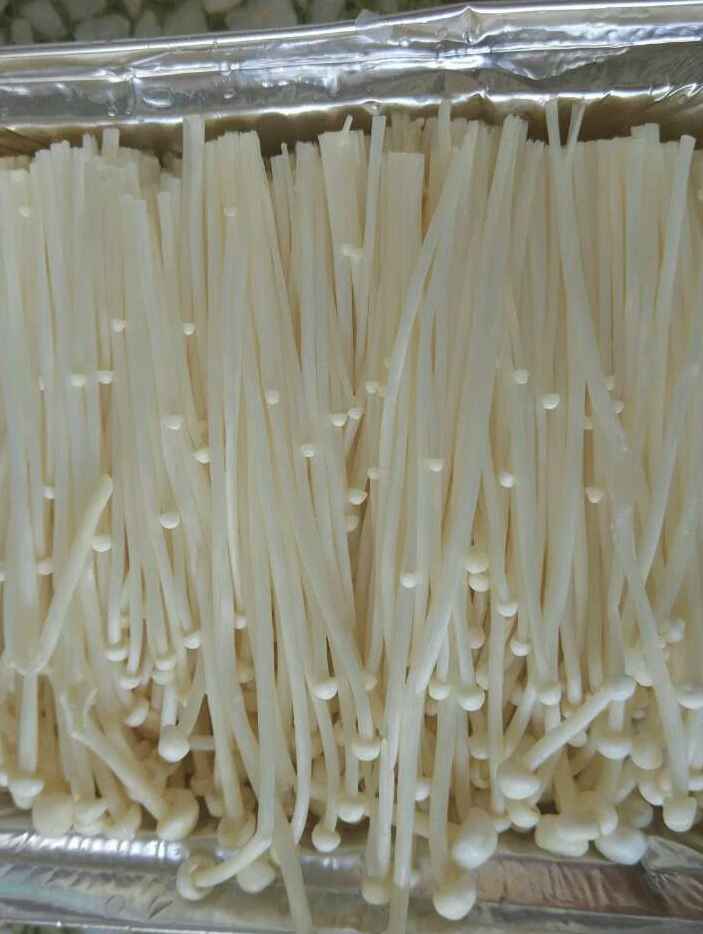 煎金针菇