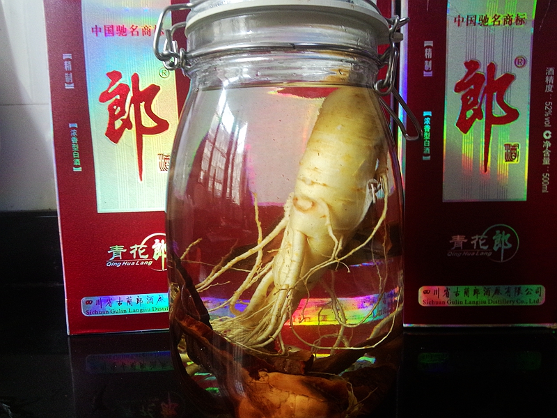 人参灵芝酒