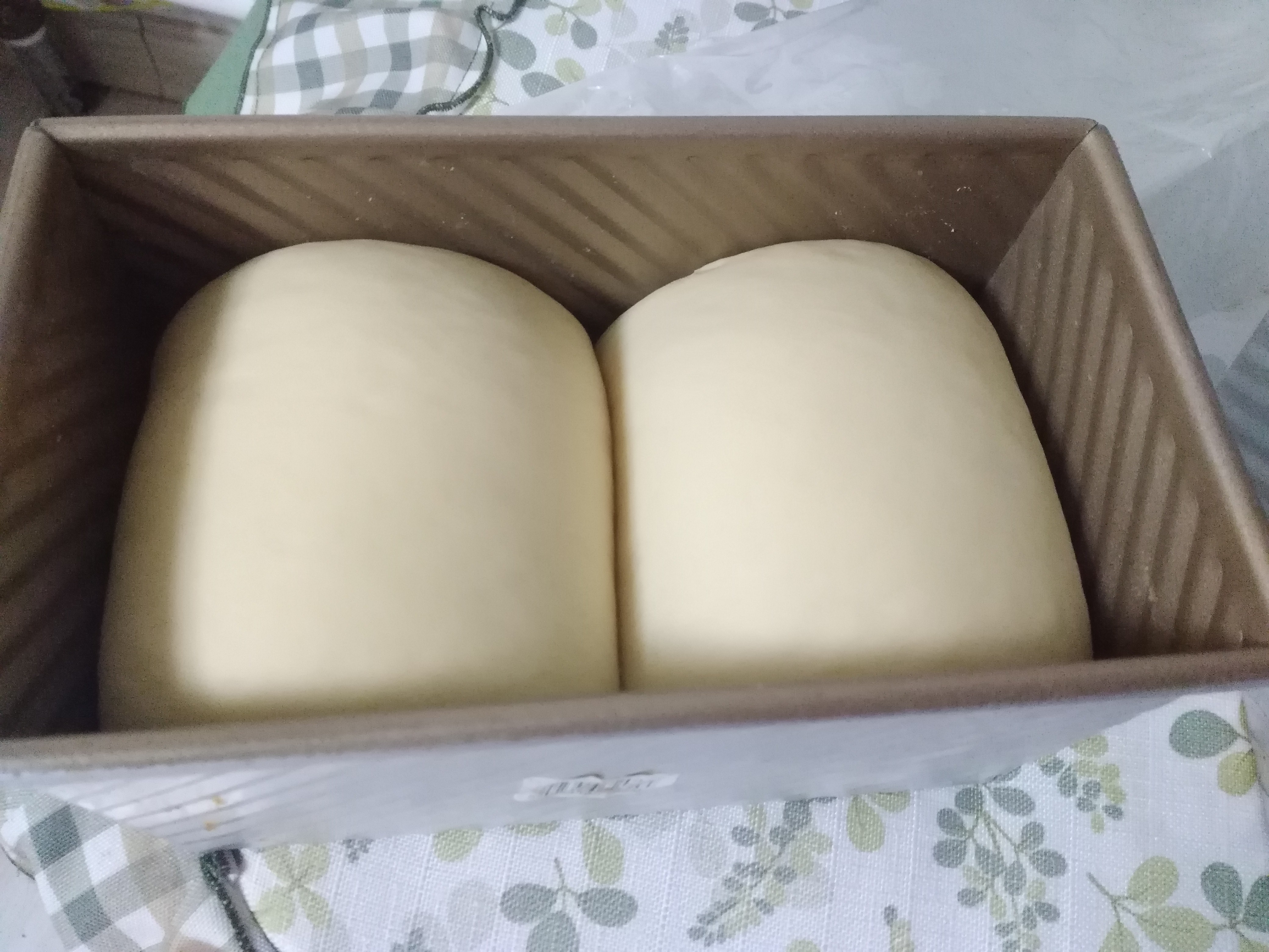 北海道牛奶吐司