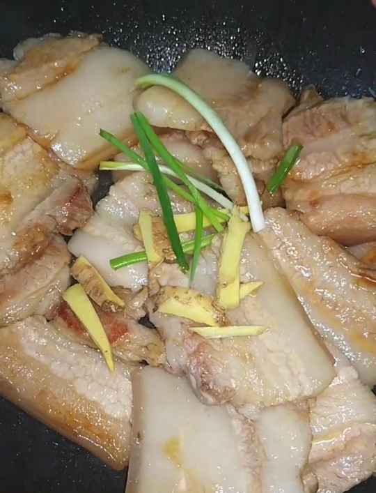 红烧肉片