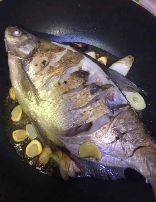 炖鱼