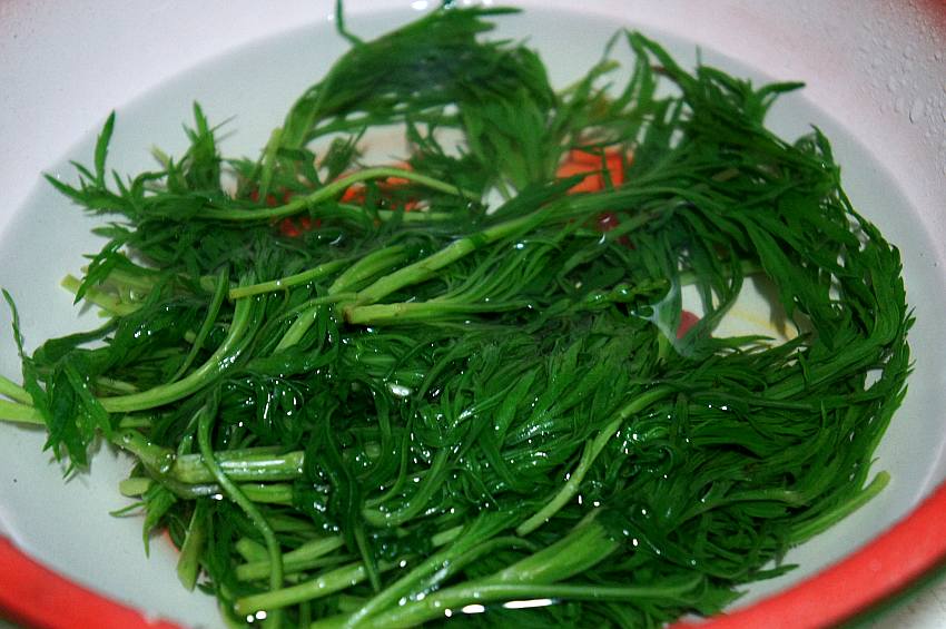 柳蒿芽炒鹅蛋