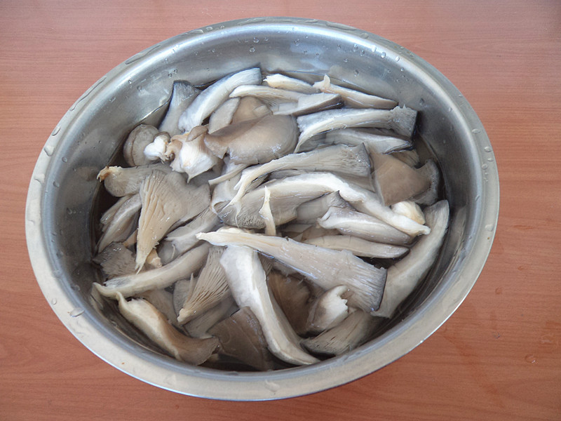 韭菜炒凤尾蘑
