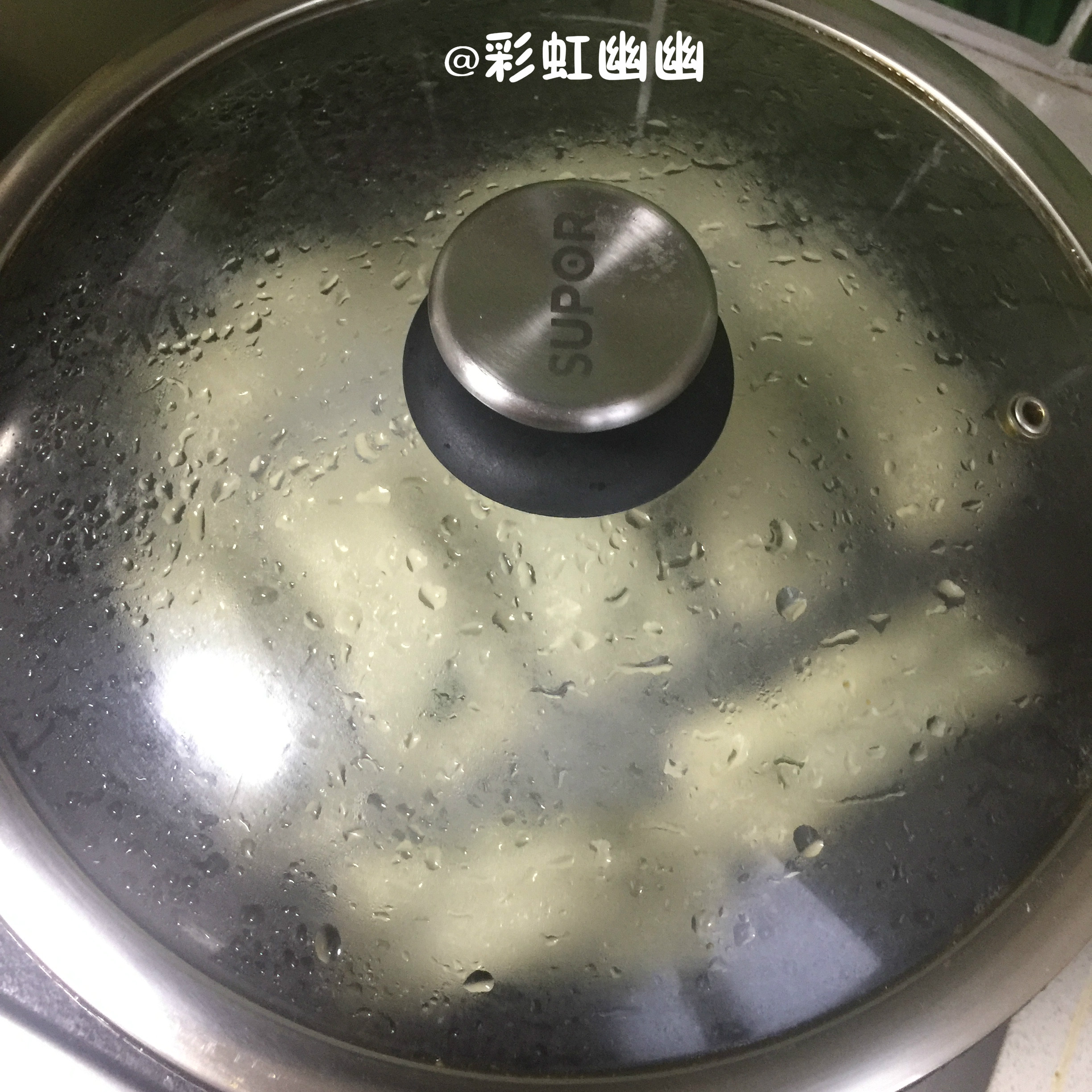 苜蓿羊肉锅贴