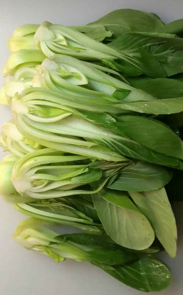 辣油菜