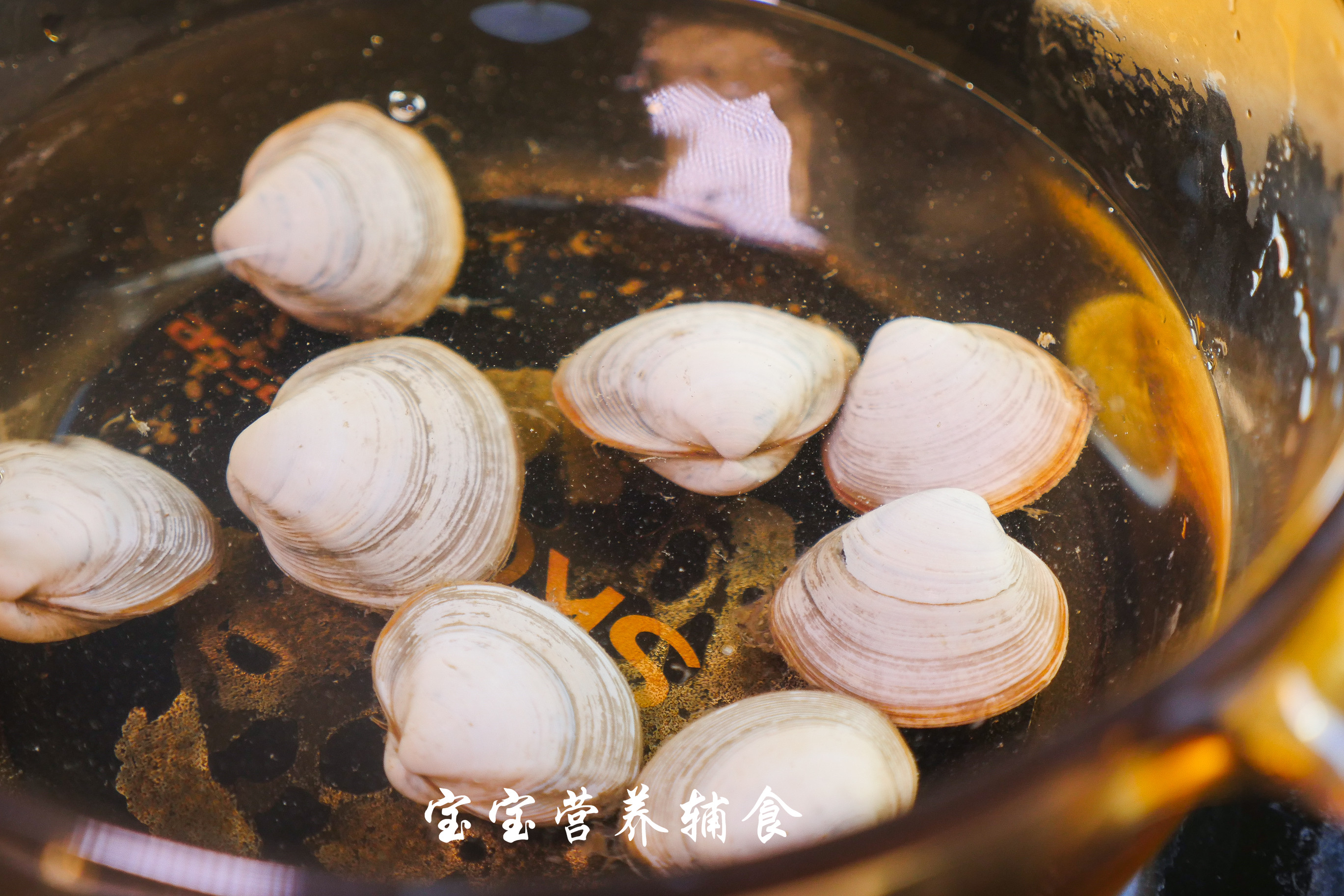 宝宝辅食-蛤蜊浓汤