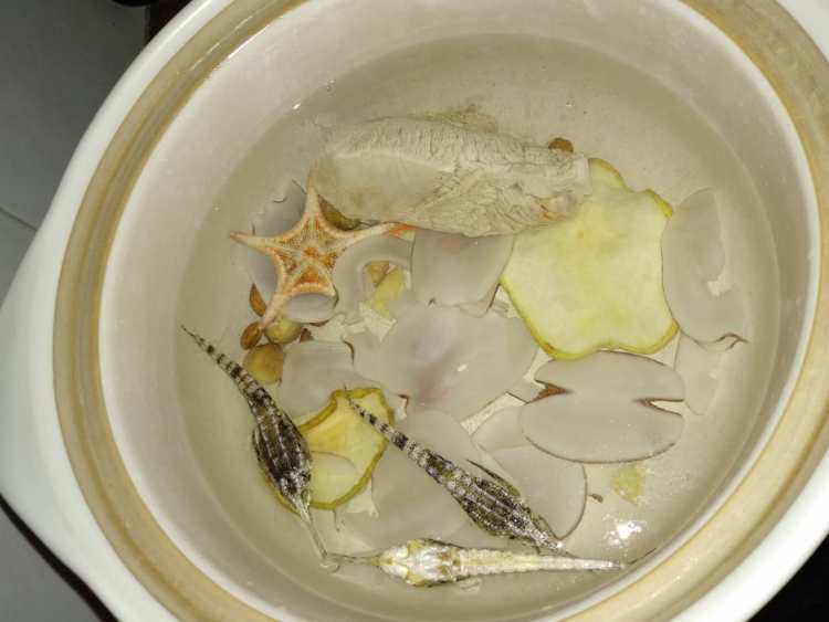 海星海雀瘦肉汤