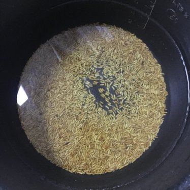 冰镇米茶