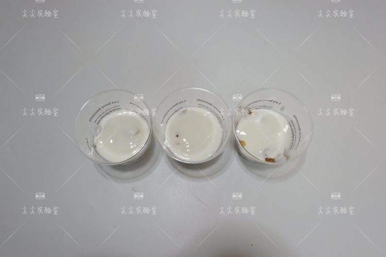 黄桃酸奶燕麦杯