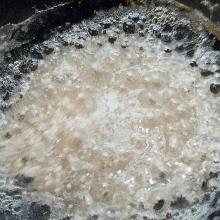 芋圆西米水果椰汁